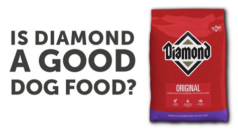 Diamond dog food review. Things To Know About Diamond dog food review. 